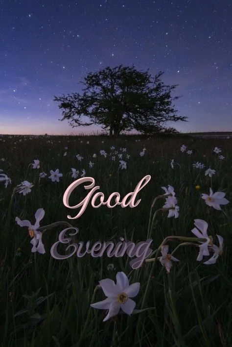 Good Evening Images2 Good Evening Images2