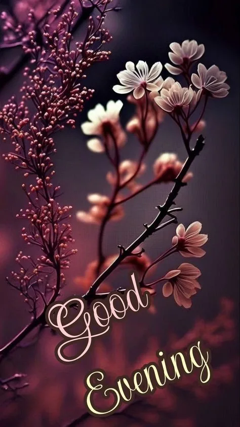 Good Evening Images4 Good Evening Images4